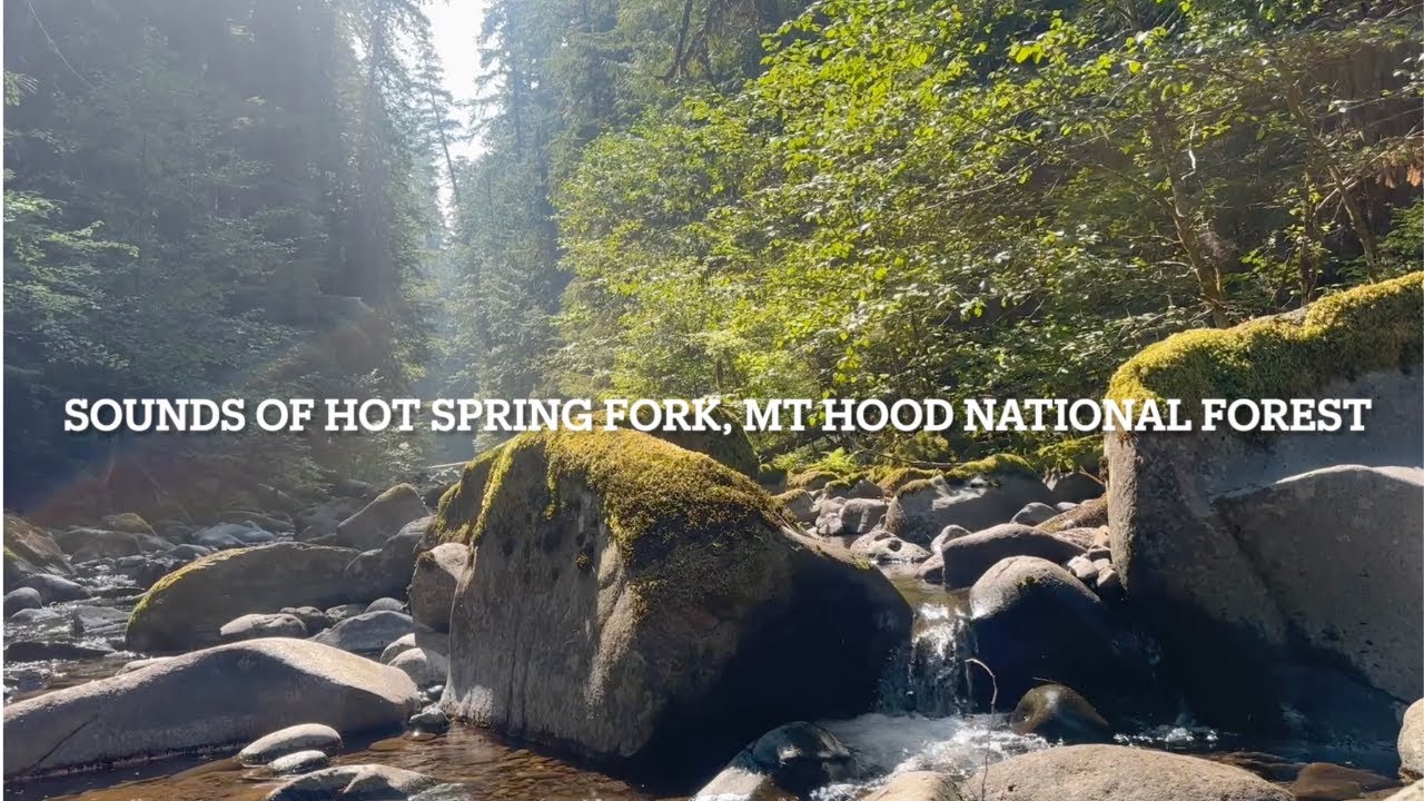Mt Hood National forest sounds