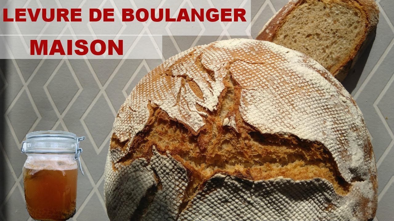 Levure de boulanger... maison!! Le tuto complet