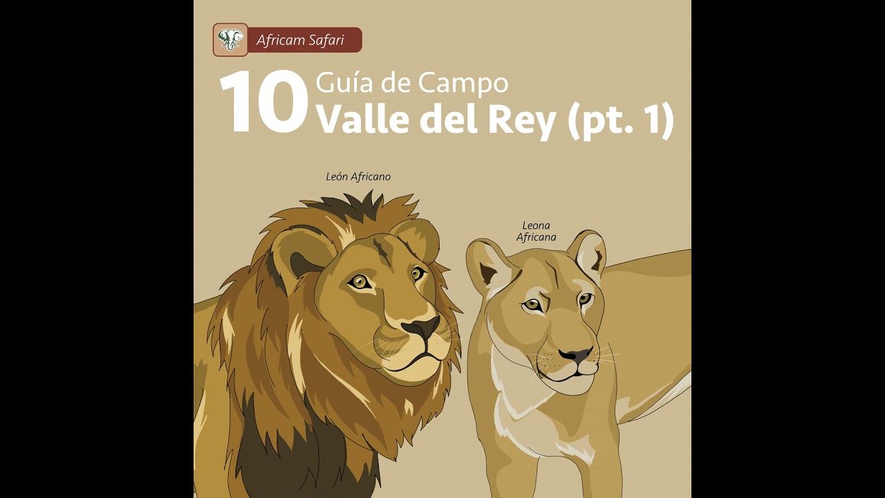 Track 10 - Valle del Rey (pt. 1)