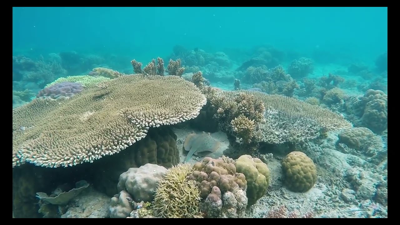 DEEP OCEAN  Ioannis Machairas    &Gamma;&iota;ά&nu;&nu;&eta;&sigmaf; &Mu;&alpha;&chi;&alpha;ί&rho;&alpha;&sigmaf;