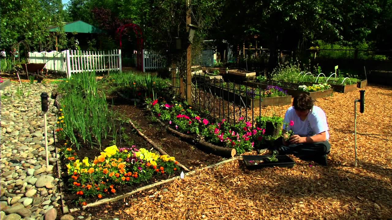 Supa Fresh Youth Farm: Helping Underserved Teens Learn Life Skills