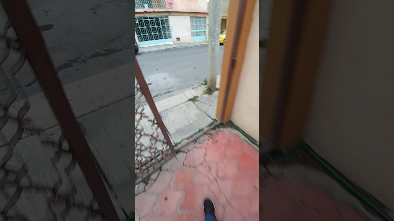 Wolf dog low content