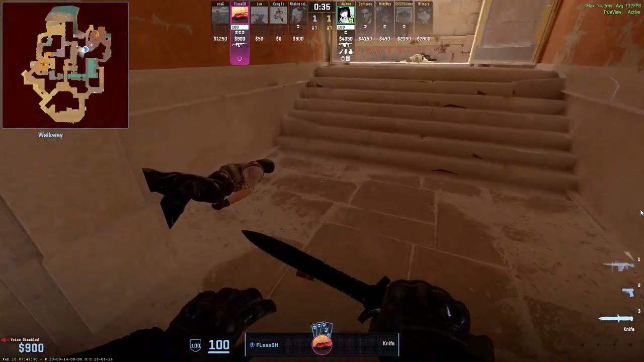CS2 Anubis 1v4 with Negev FLaaaSH