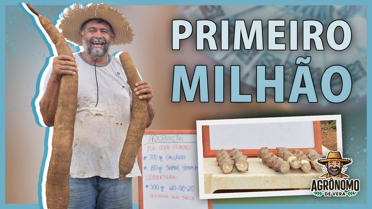 Como fazer seu 1° MILHÃO na ROÇA