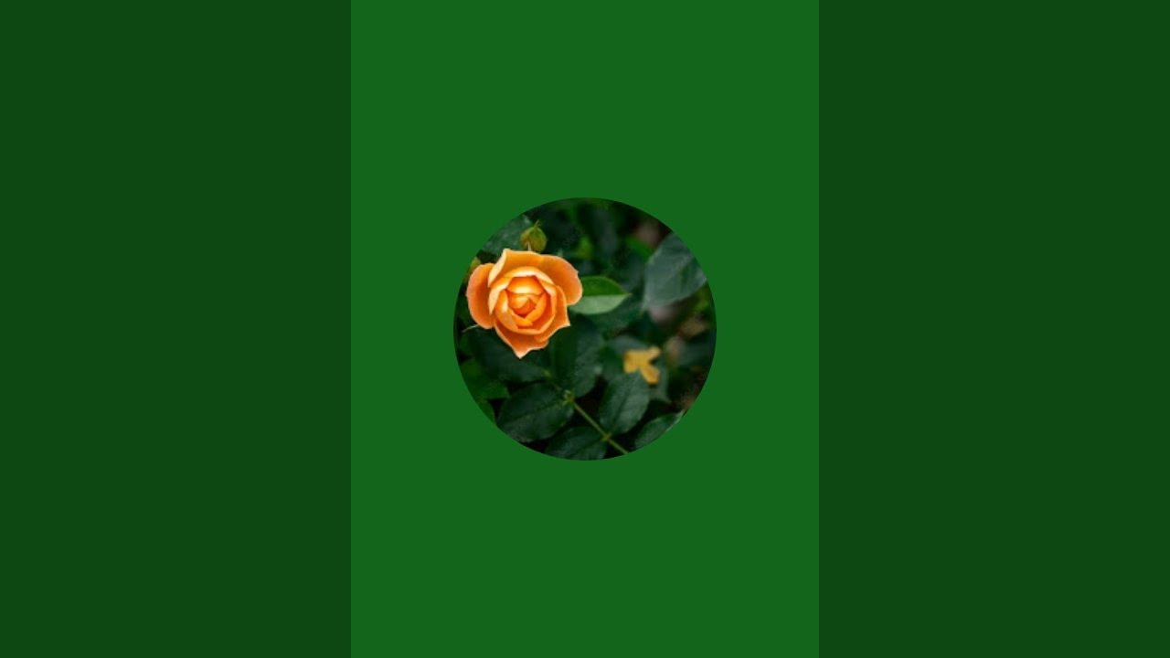 life turns  is live!