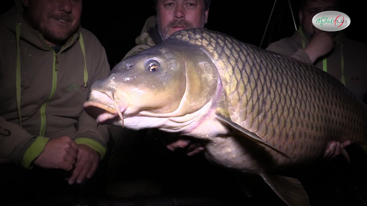 Team NULA - Zemplínsky kapor 2020