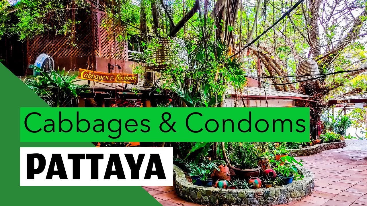 Pattaya Birds and Bees resort. Cabbages and Condoms restaurant. (This is what it looks like)