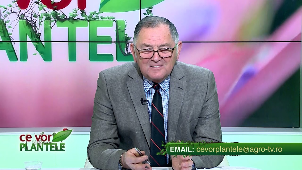 Cum tratăm corect semințele, folosind produsul Albit?