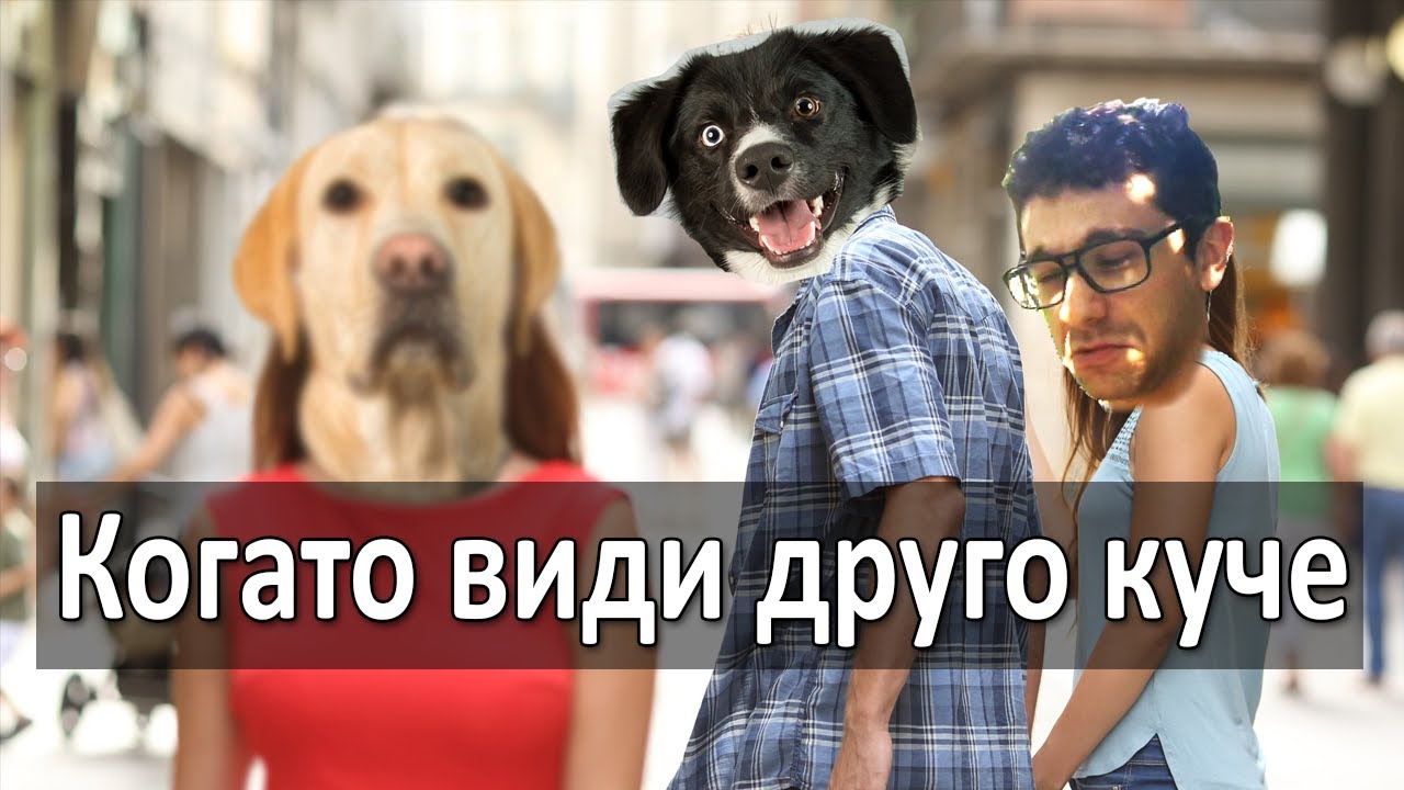 Тренировка за ходене на повод и как реагираме като минава друго куче