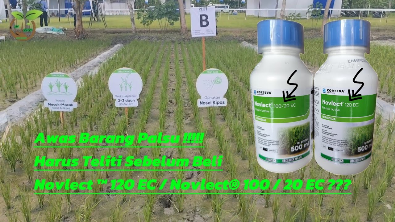 Остерегайтесь подделок || Гербицид Novlect® 100/20 EC: не покупайте неподходящий товар