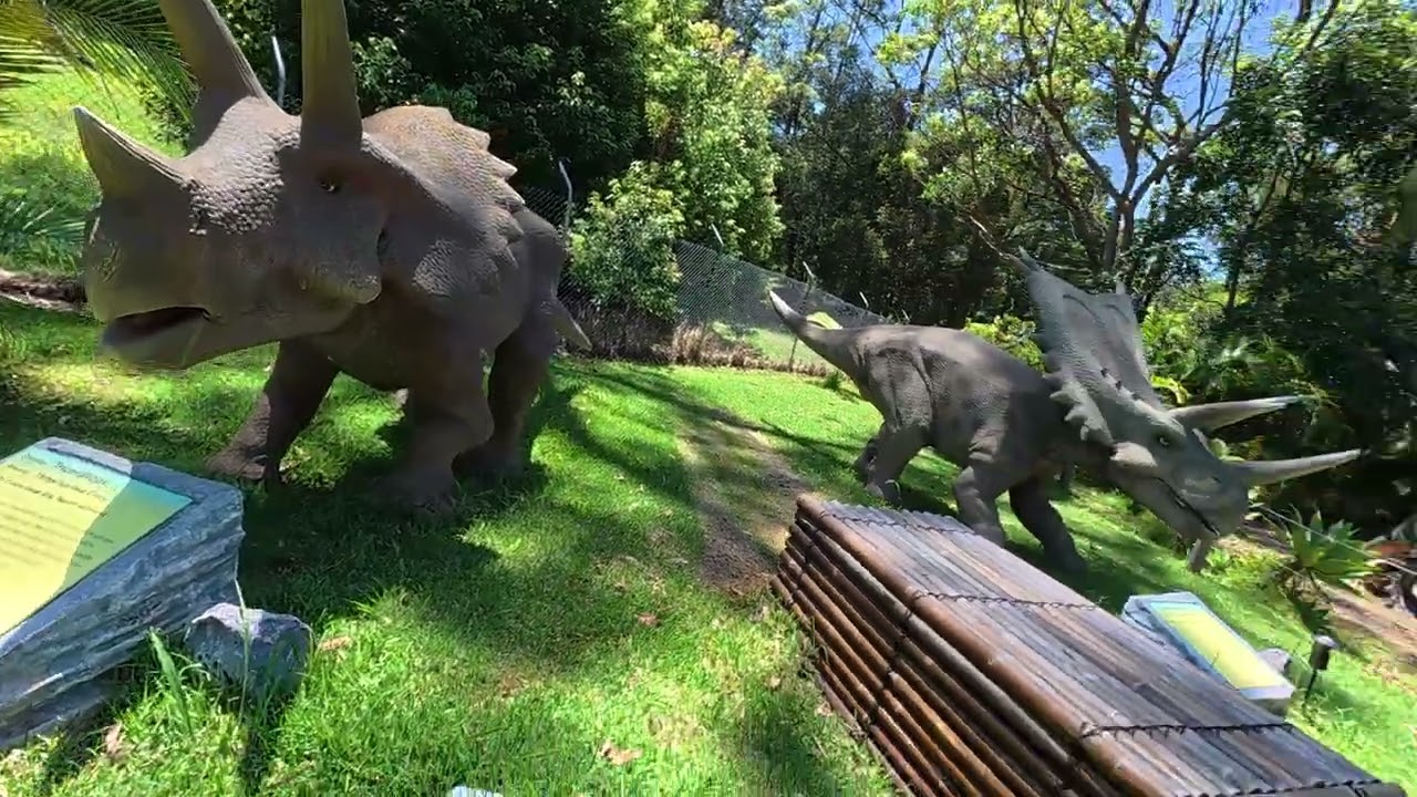 Dinosaurs in Coffs Harbour 