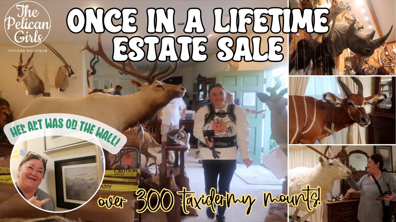 INCREDIBLE TAXIDERMY COLLECTION | Estate Sale Shopping among over 300 mounts! | GOTTA SEE THIS!