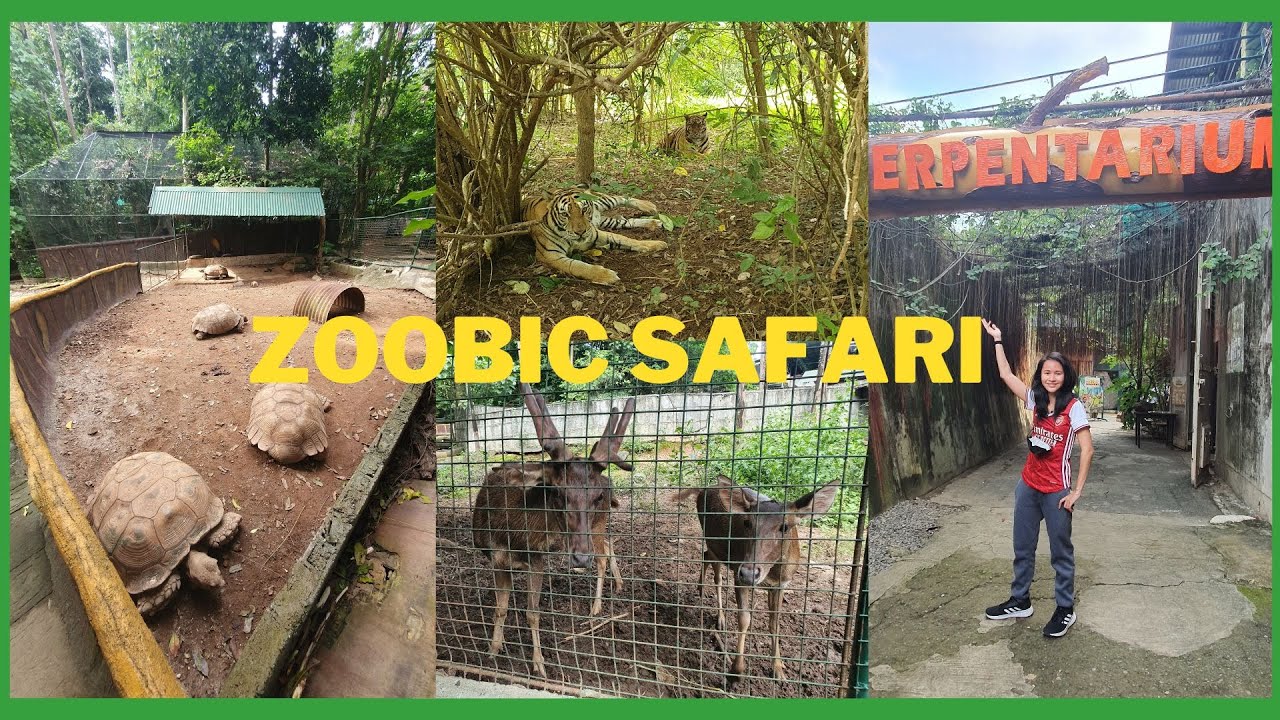What to expect at Zoobic Safari, Subic