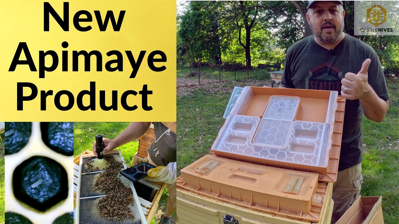 New Apimaye Feeder & 7 Frame Apimaye Inspection