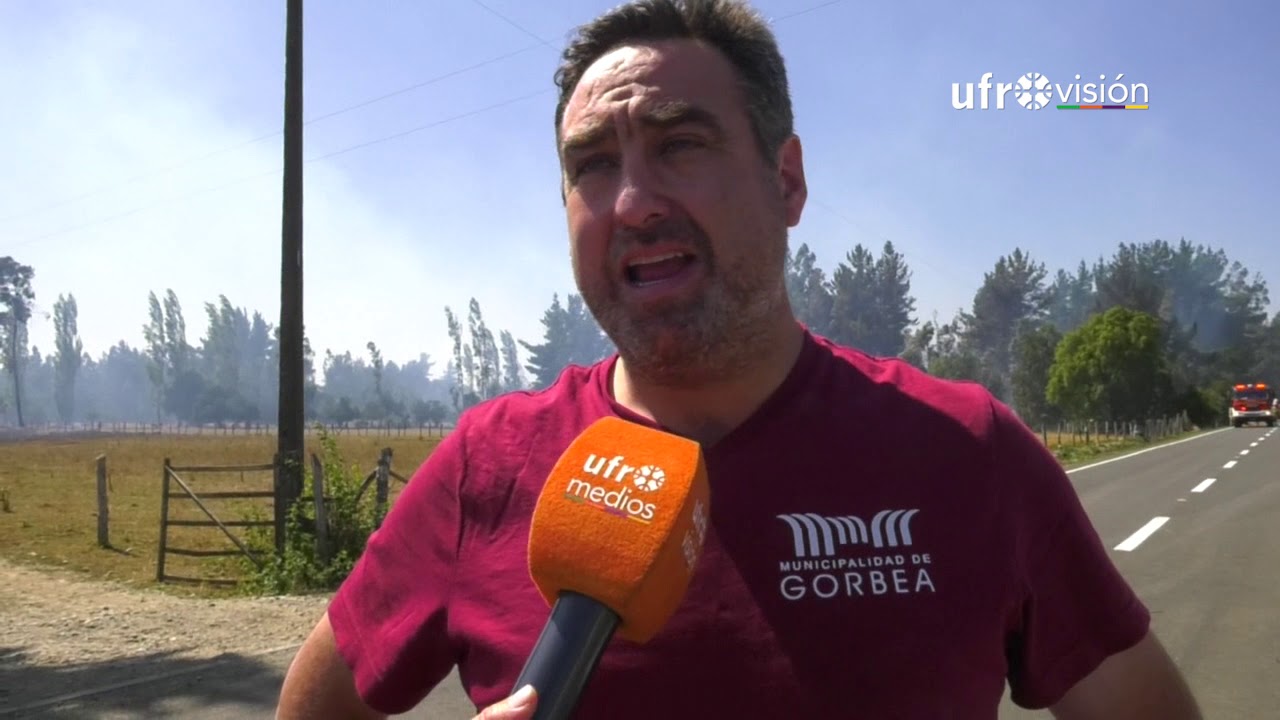 Incendios en Pitrufquén y Gorbea ya han consumido 400 hectáreas | UFROVISIÓN
