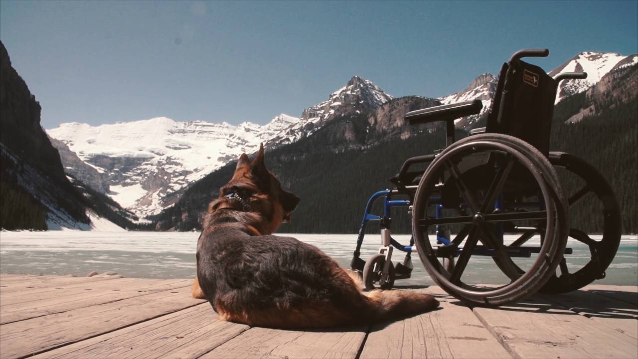 ALS Society of Alberta PSA