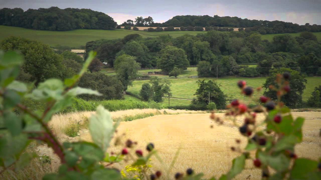 Visit Winchester: Military Trail