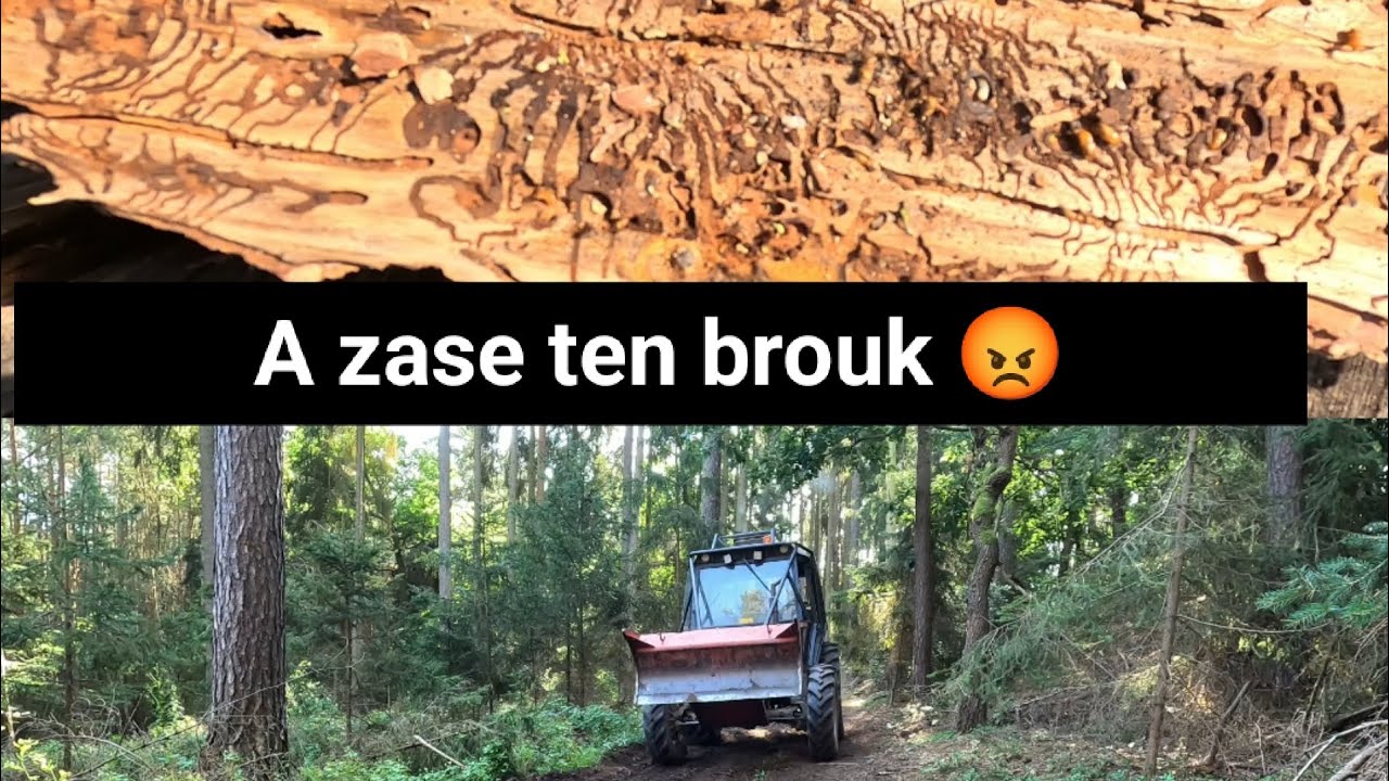Těžba smrků a přerušení kvůli dešti, Agama Aga 2, Stihl Ms 261,@jpforest8882
