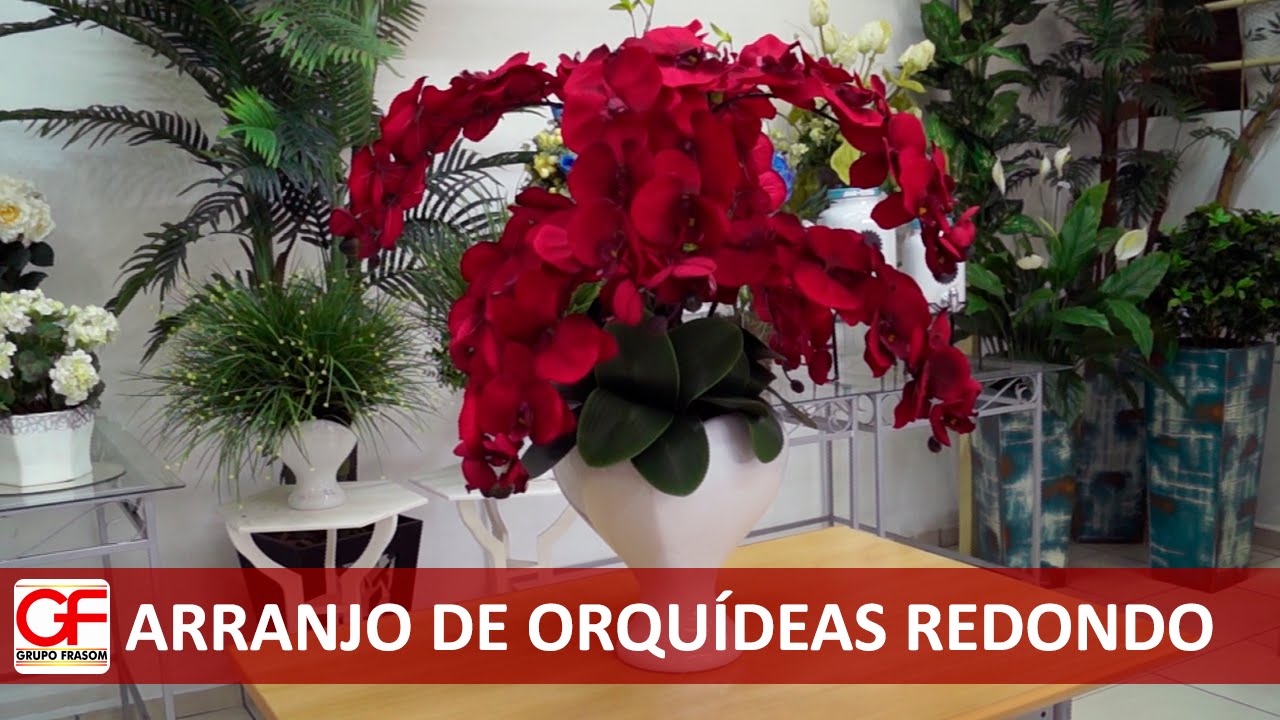 Arranjo de Orquídeas Redondo
