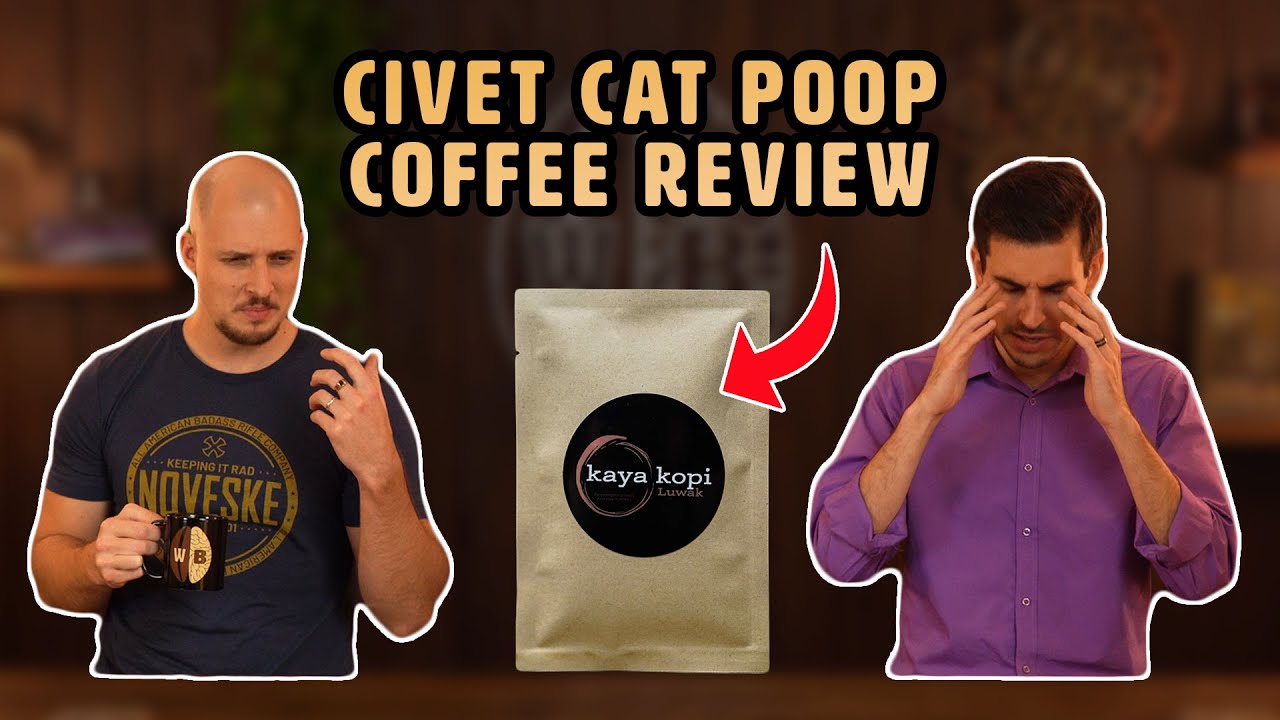 Kopi Luwak Review | Civet Cat Poop Coffee