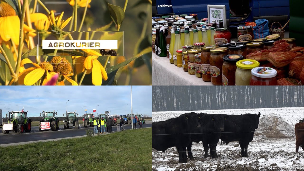 „Agrokurier” – 11 stycznia 2026. Zobacz program