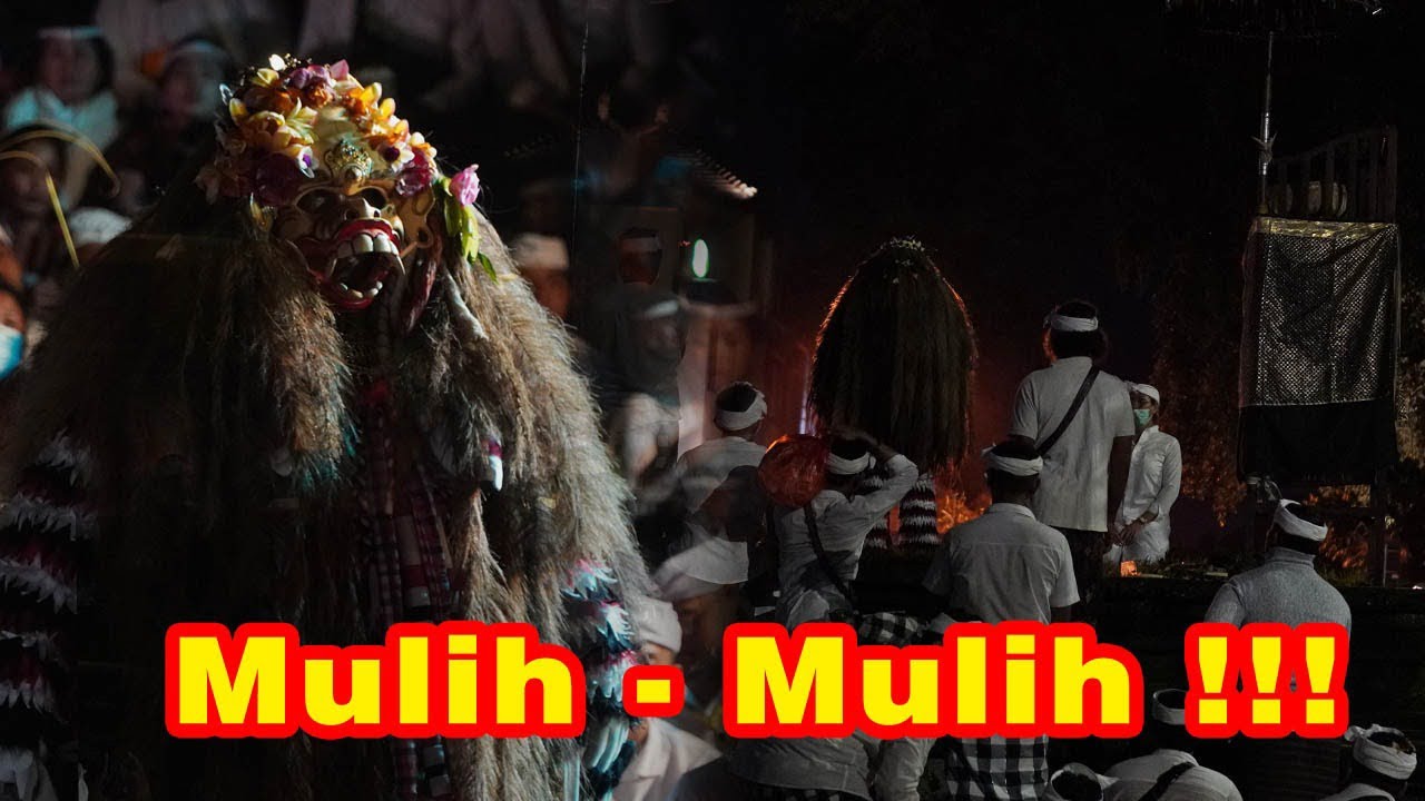 Ratu Gede Manik Ubud Mebaos diPemuunan Setra Dalem Puri!!