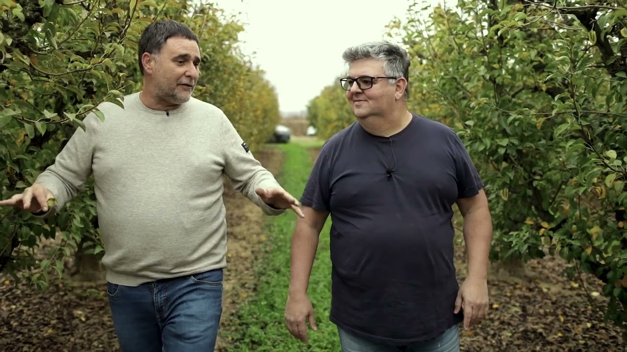 En ruta! Amb en Pep Nogué | Descobrim la DOP Pera de Lleida