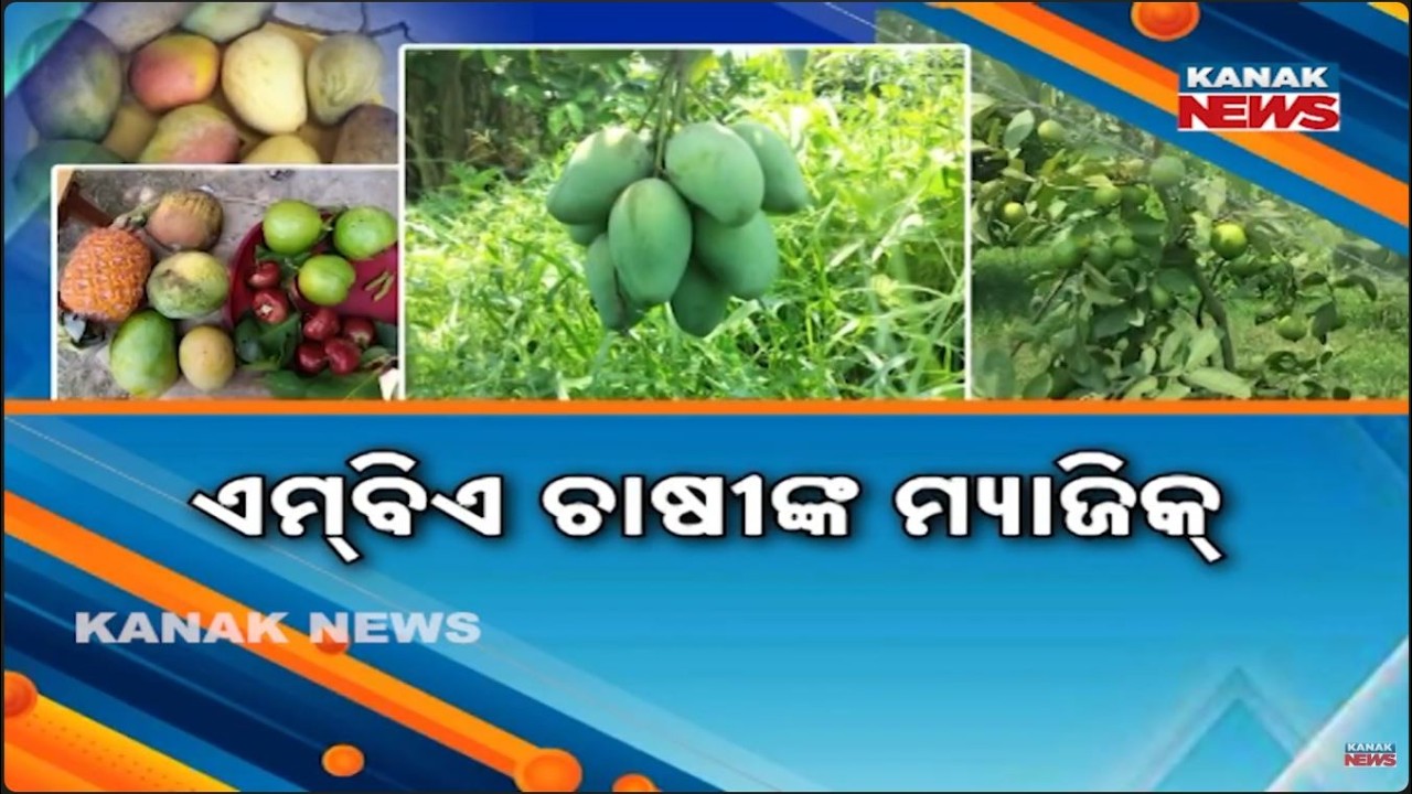 Quit MNC Job For This? Odisha Youth Grows Exotic Fruits Worth Lakhs!
