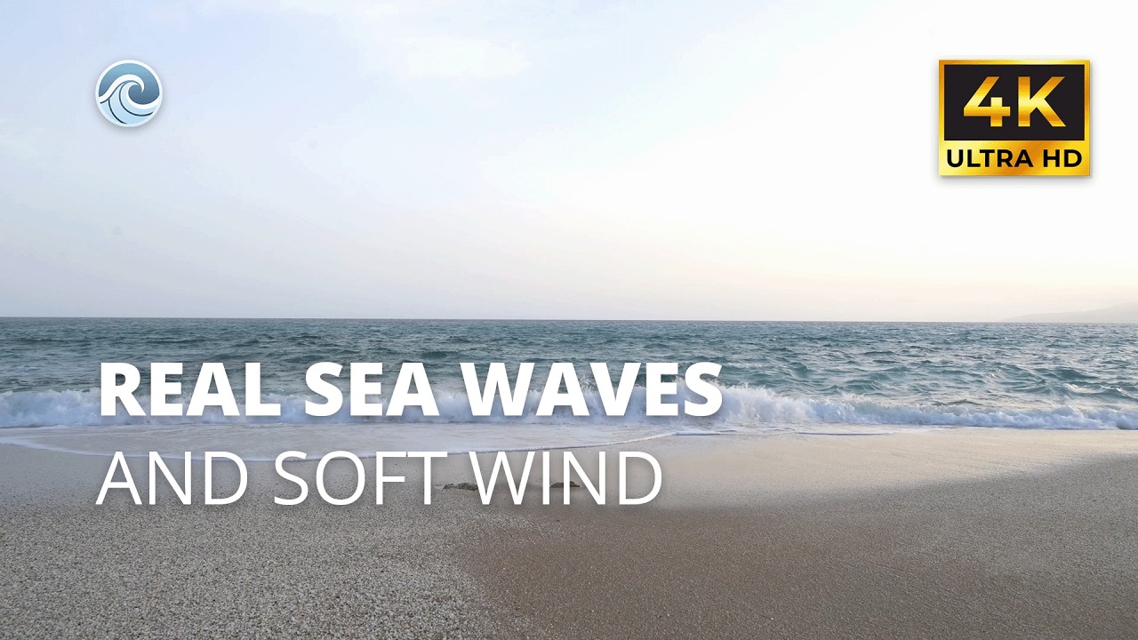 9 Hours Real Sea Waves & Soft Wind | Ultra Realistic Ocean Ambience 🌊