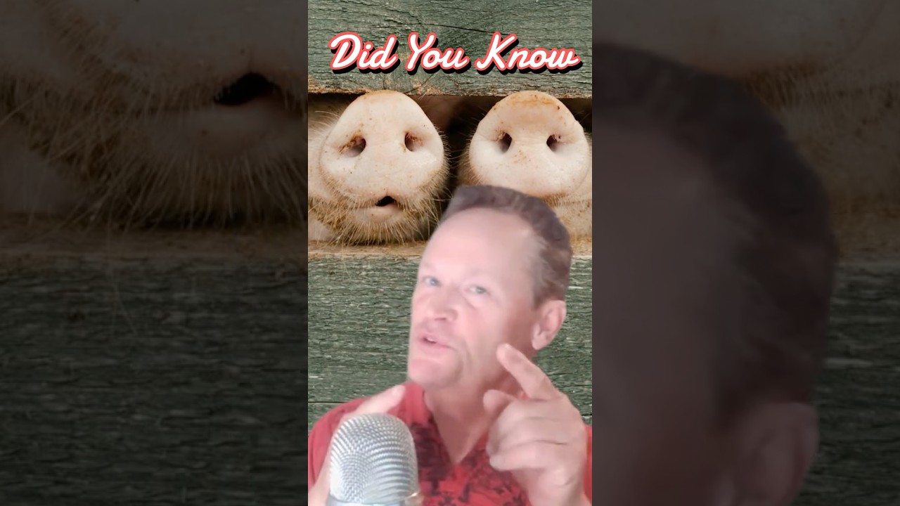 “Food Truth: What Factory Farms Don’t Want You to Know” Part 3  