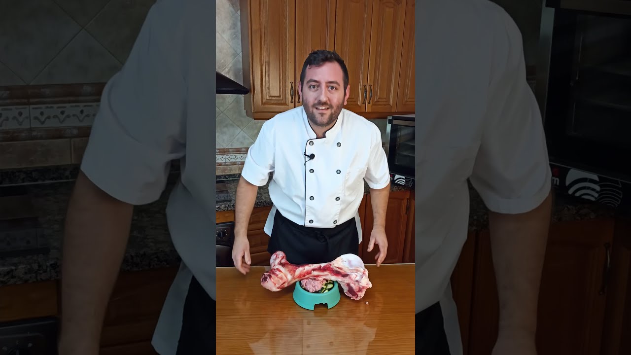 Comida CASERA para PERROS GIGANTES😉!!! 🐶