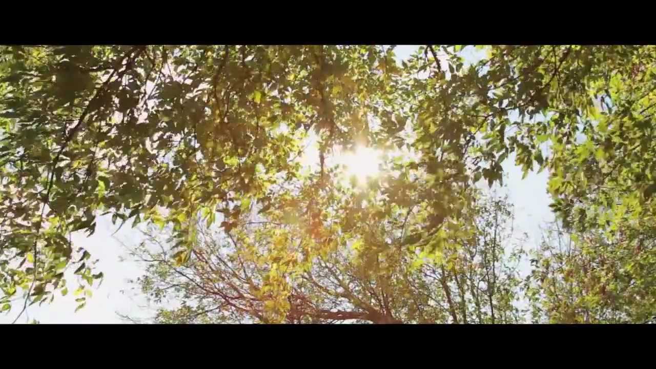 Observer Drift- Corridors [OFFICIAL MUSIC VIDEO]