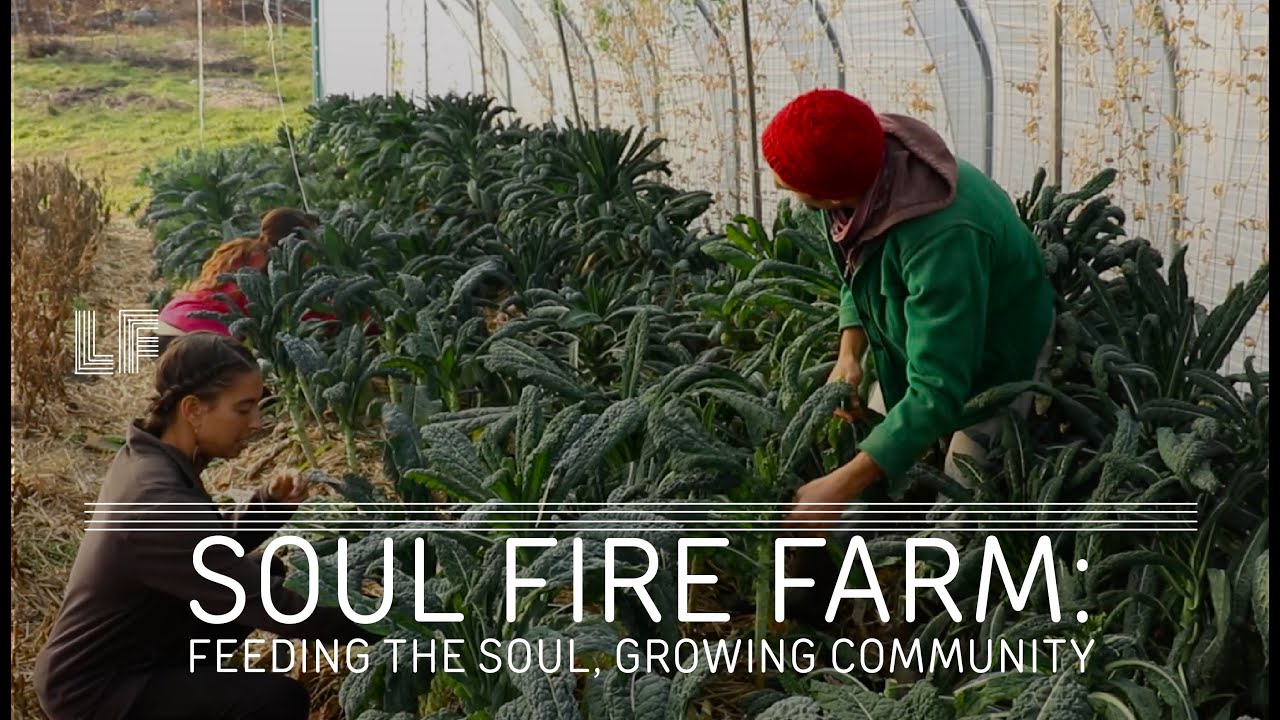 Soul Fire Farm: Feeding the Soul, Growing Community