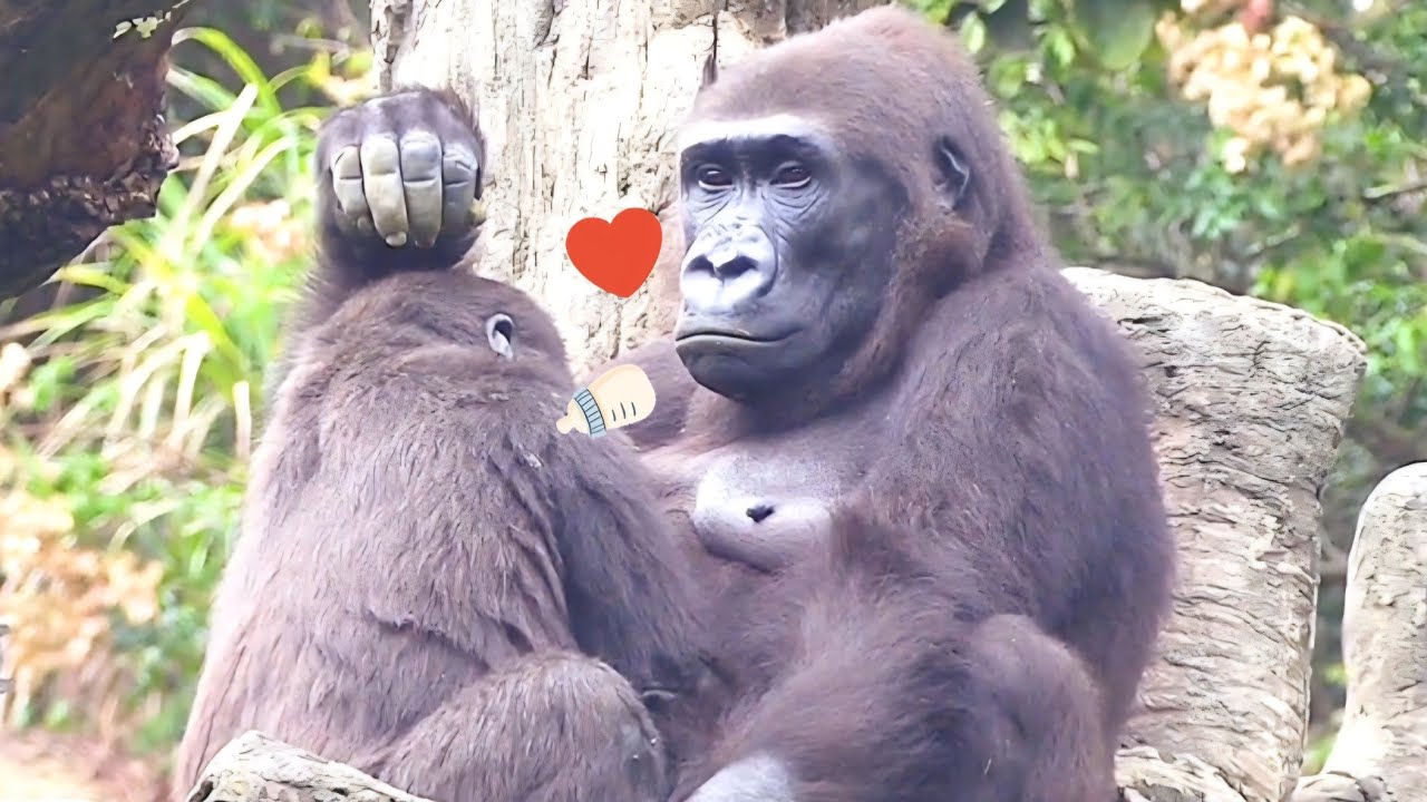 Не смотри на меня так... ты же знаешь, что тебе это нравится 😐❤️