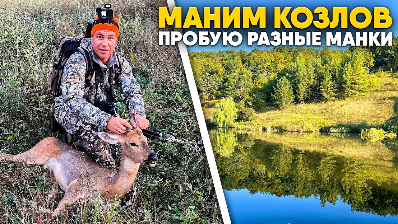 Охота на самца косули во время гона | Сравнил манки Buttolo и Nordik Roe