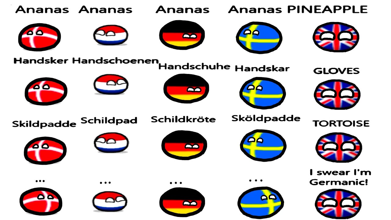 World History Speedrun