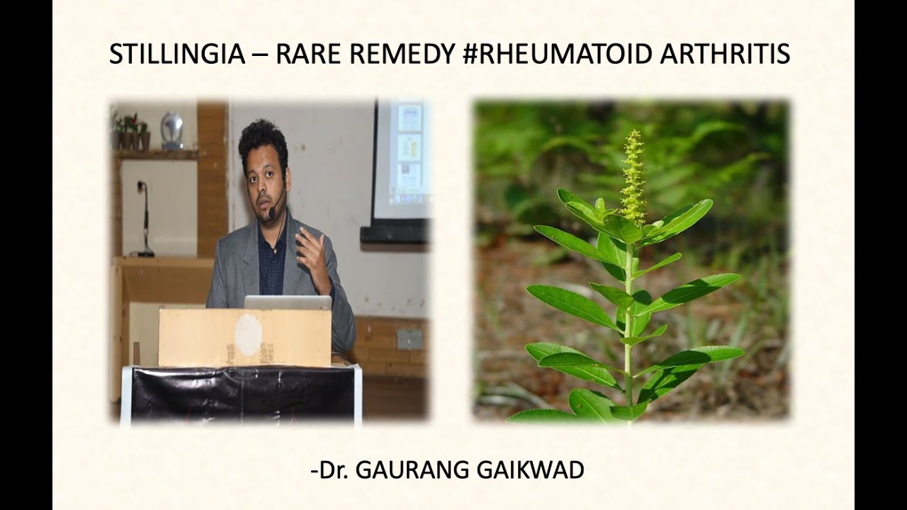Stillingia - Rare Remedy - #Rheumatoid Arthritis - Dr. Gaurang Gaikwad