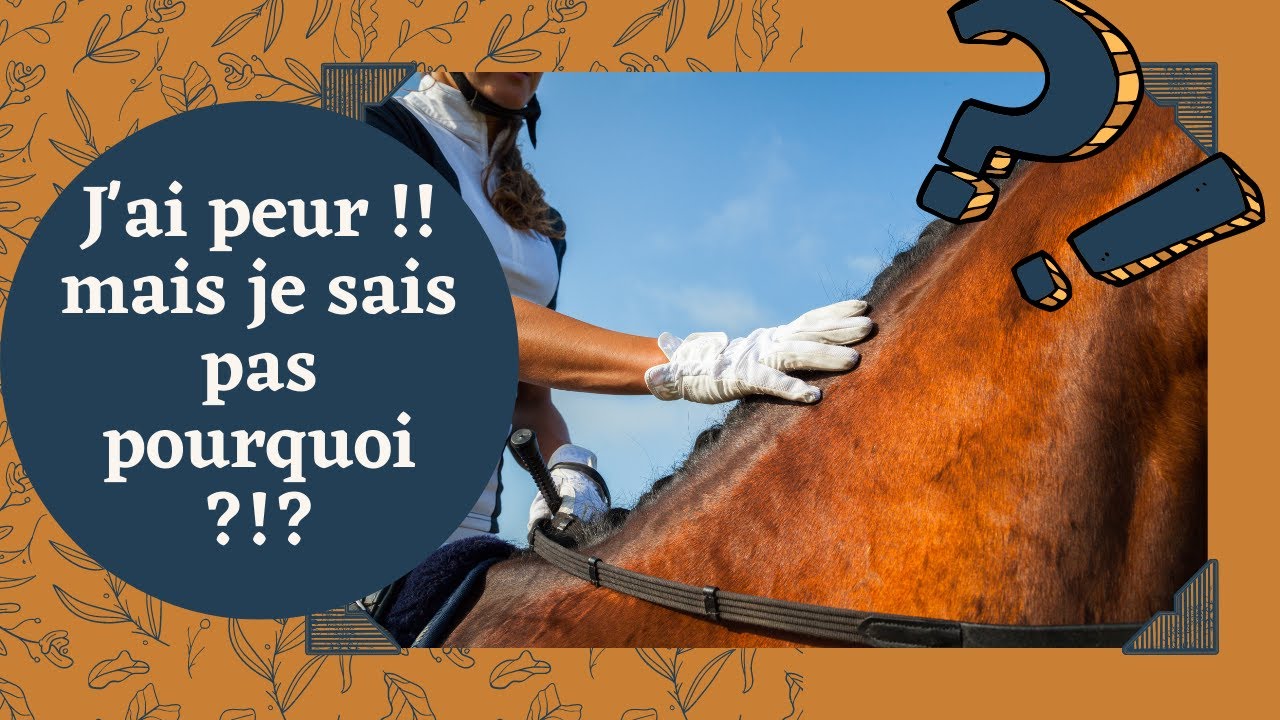 [Comprendre] - Peur &agrave; cheval - 