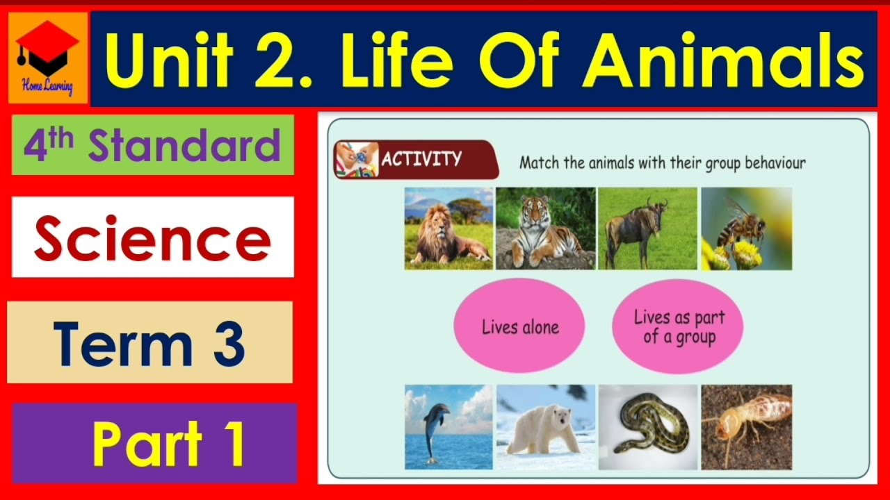 Life of Animals- Part 1 - Pages 77 to 82 - 4th Standard- Science- Unit 2- Term 3- explained in tamil