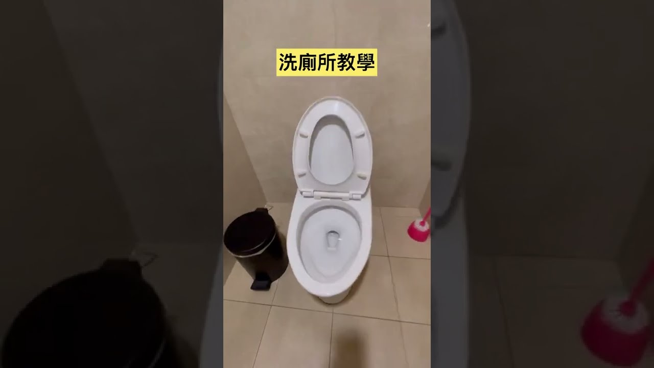 洗廁所教學