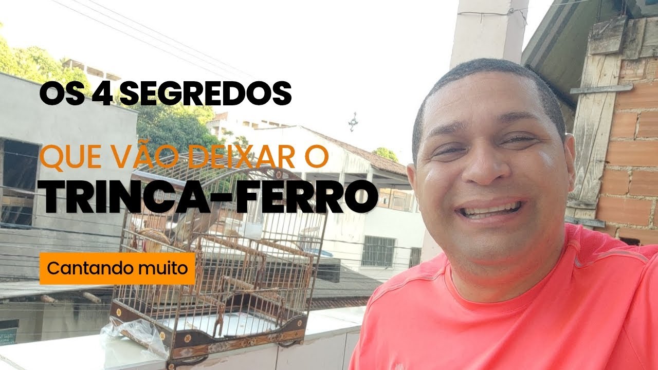 OS QUATRO SEGREDOS QUE V&Atilde;O DEIXAR O SEU TRINCA-FERRO CANTANDO MUITO