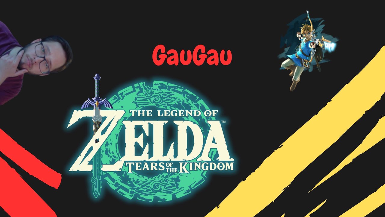 Zelda Tears of the Kingdom #2 !