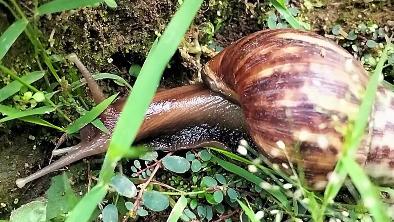 DALAM KESENDIRIAN #19