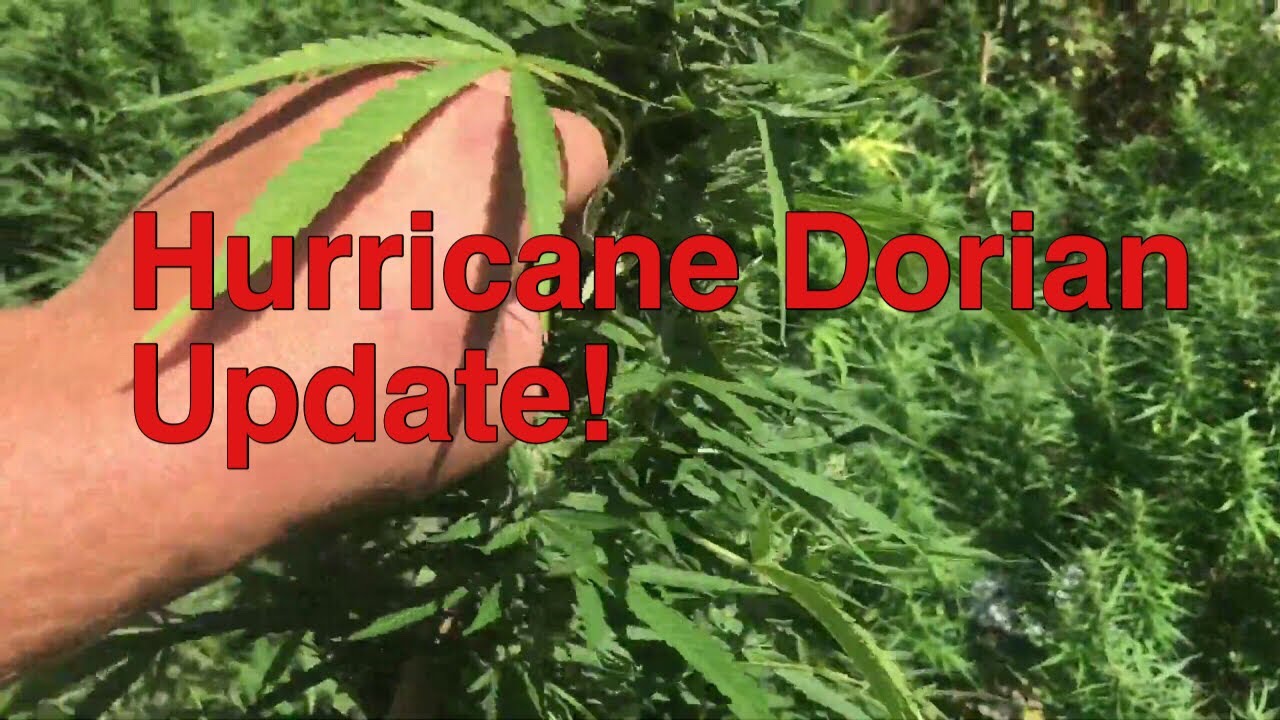 Hurricane Dorian Update