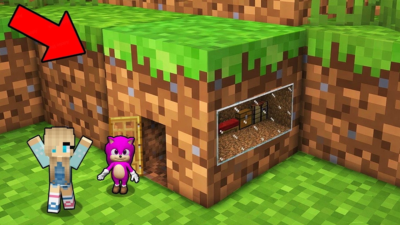 Minecraft Bloklarının İçinde Ne Var? 😱
