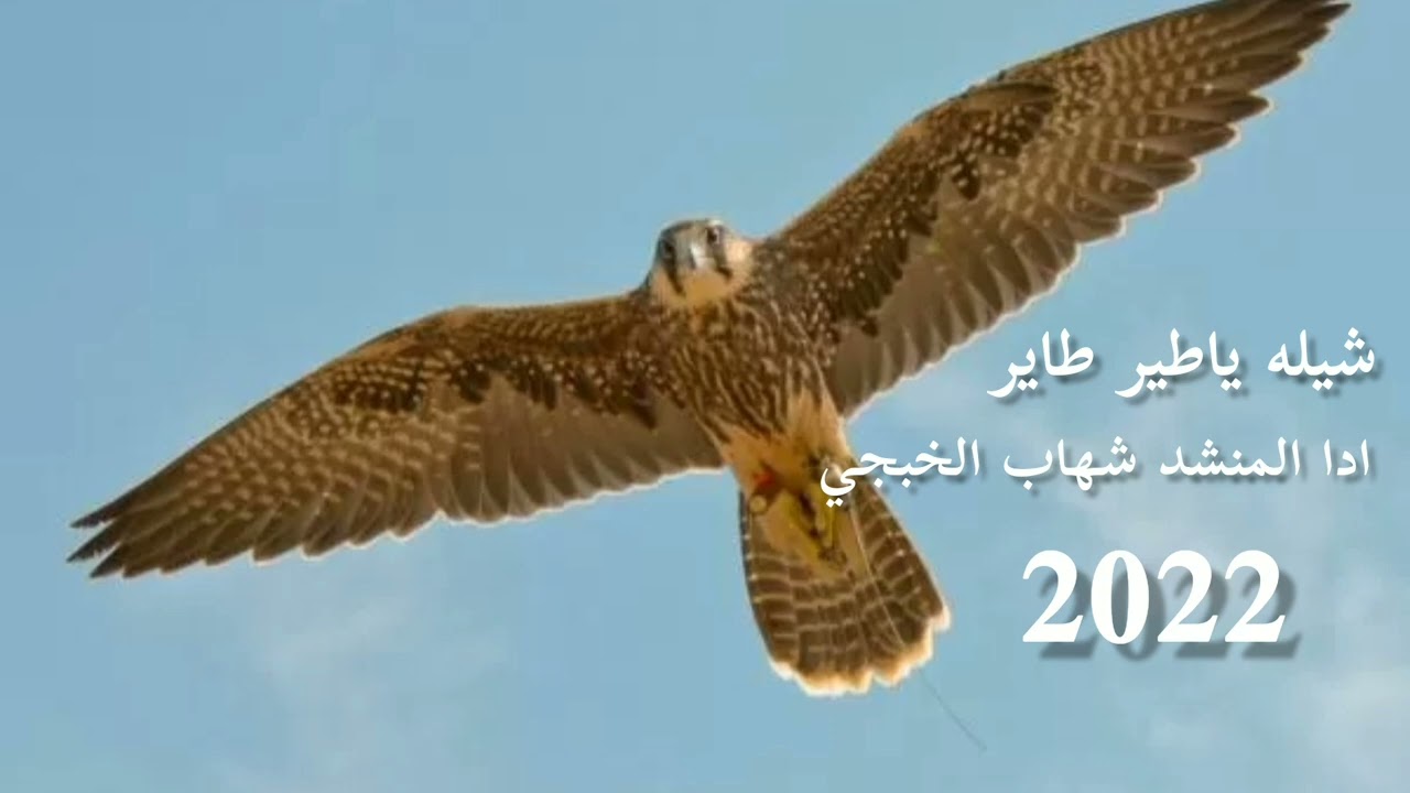 شيله ياطير طاير ادا شهاب الخبجي 2022