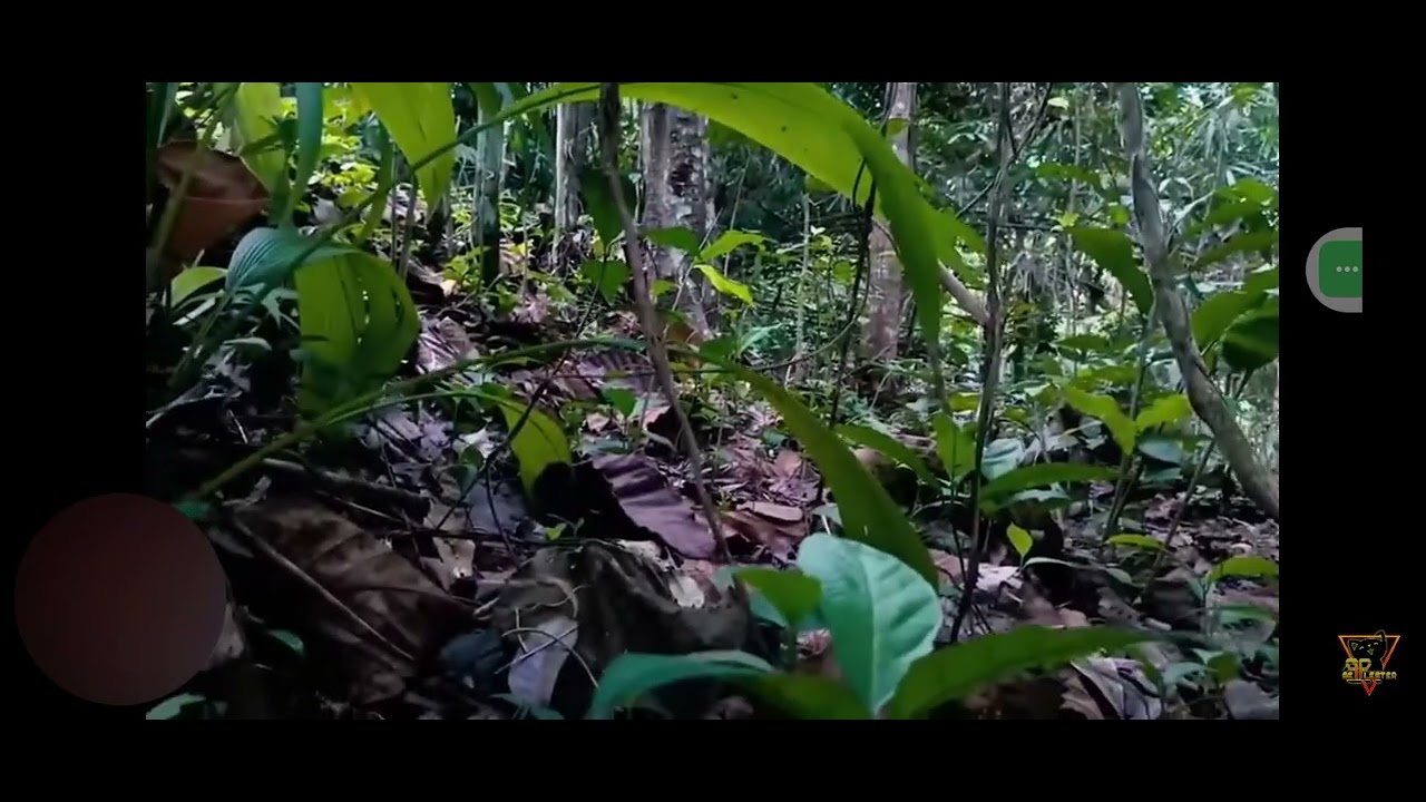 PEncarian batu mustika..gagal mendapatkan.