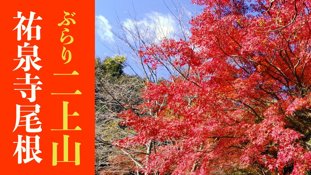 【二上山】祐泉寺尾根ルートで登りました！（2023年11月）