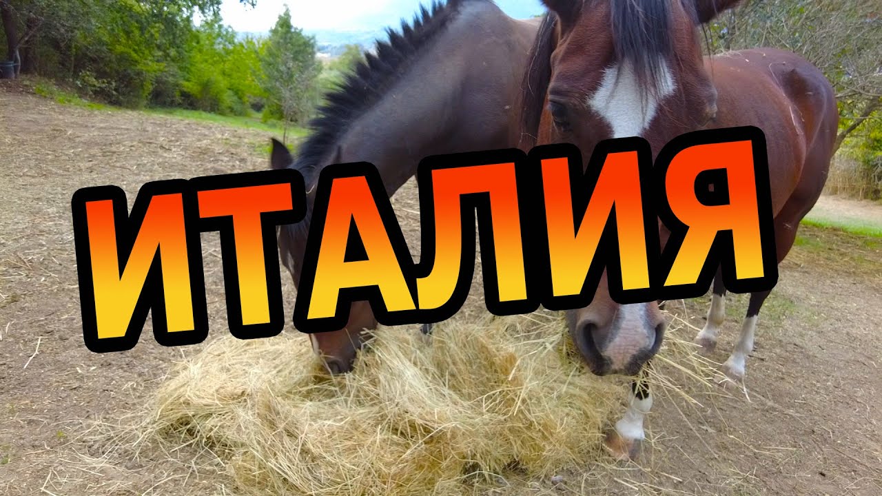 Приключение русских в Италии / Пальяно / Рим / Флоренция / Верона