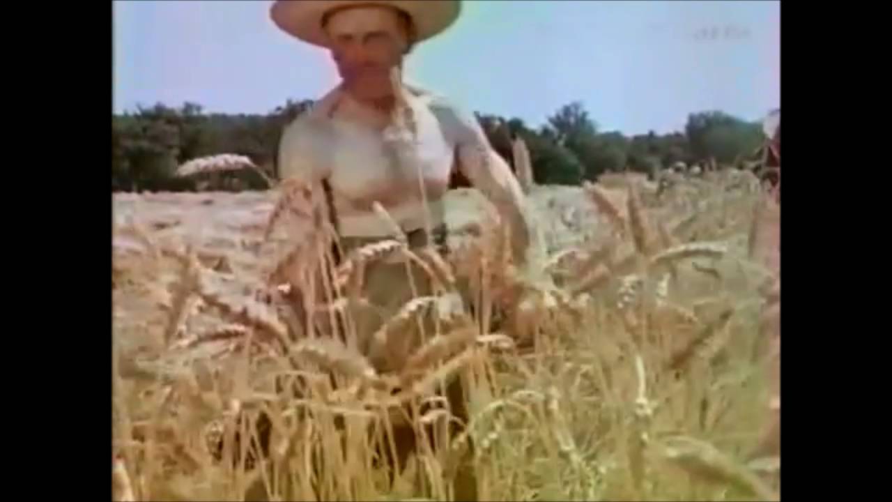 Lied 'Das Jahr ist halb vergangen' (Kolberg)